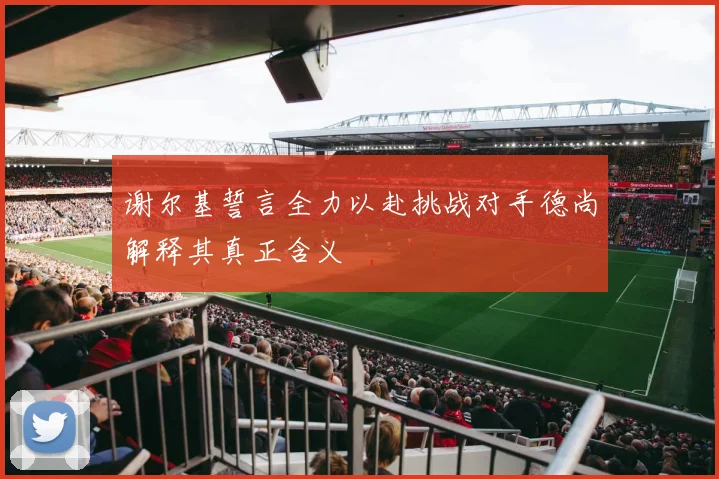 谢尔基誓言全力以赴挑战对手德尚解释其真正含义